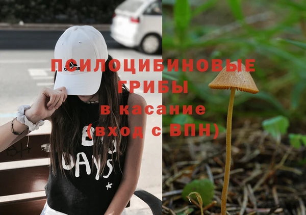 соль ск Алексин