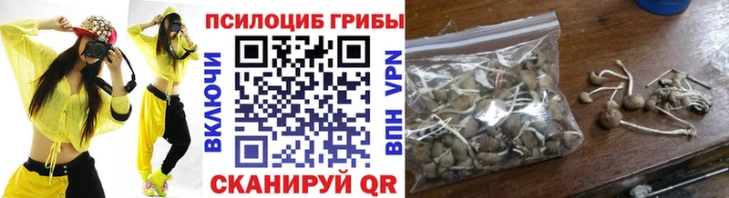 Псилоцибиновые грибы ЛСД где продают Лермонтов